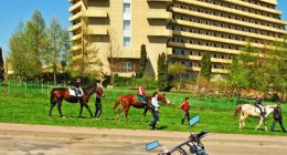 Карпати Карпати